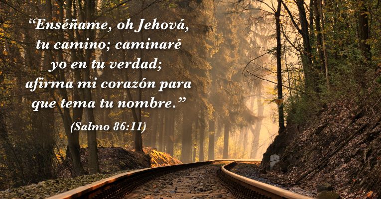 Enséñame, oh Jehová, tu camino; caminaré yo en tu verdad; afirma mi corazón para que tema tu nombre. (Sal 86:11)