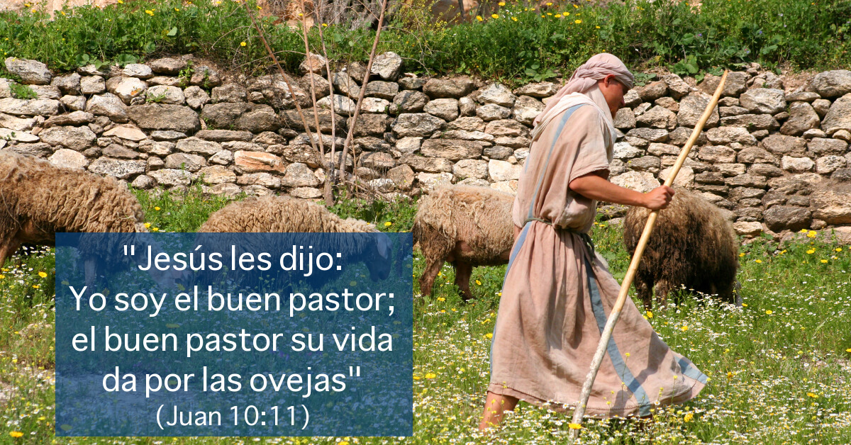 Resultado de imagen para Imagenes San Juan 10,11-18 - "El Buen Pastor" -
