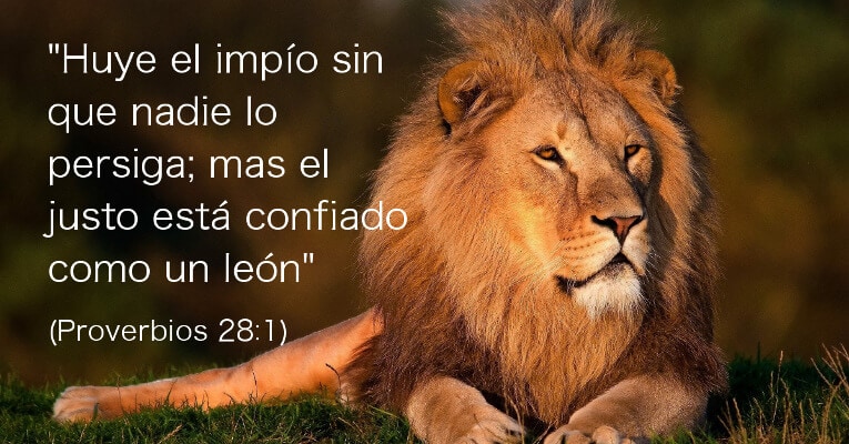 Huye el impío sin que nadie lo persiga; mas el justo está confiado como un león. (Pr 28:1)