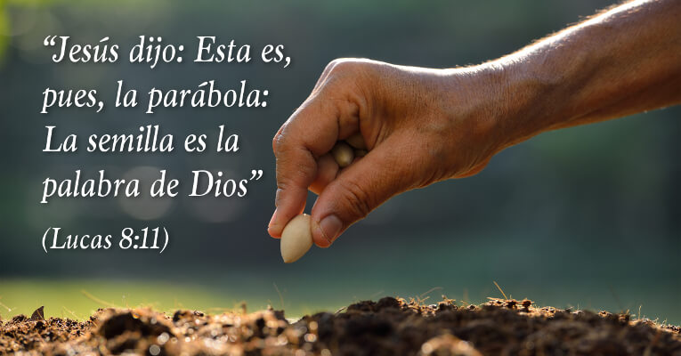 Jesús dijo: Esta es, pues, la parábola: La semilla es la palabra de Dios (Lc 8:11)