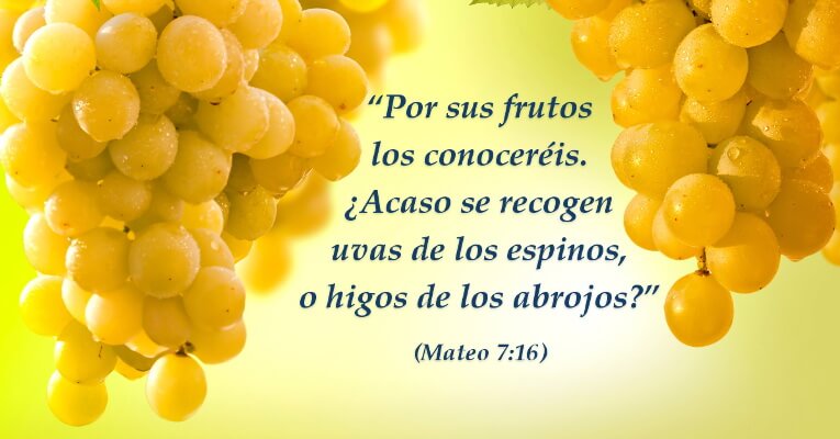 Por sus frutos los conoceréis. ¿Acaso se recogen uvas de los espinos, o higos de los abrojos? (Mt 7:16)