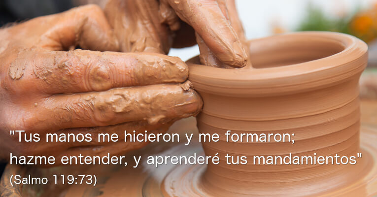 Tus manos me hicieron y me formaron; hazme entender, y aprenderé tus mandamientos (Sal 119:73)