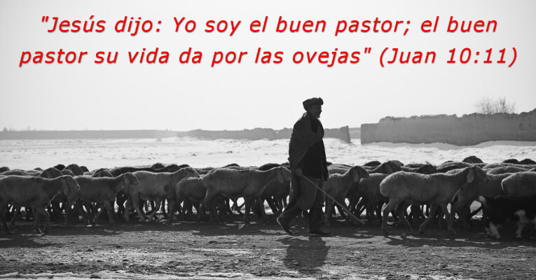 Jesús dijo: Yo soy el buen pastor; el buen pastor su vida da por las ovejas. (Jn 10:11)